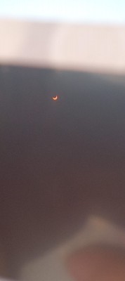 WhatsApp Image 2024-10-16 at 18.29.17.jpeg