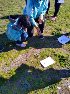 WhatsApp Image 2022-09-27 at 4.59.25 PM.jpeg